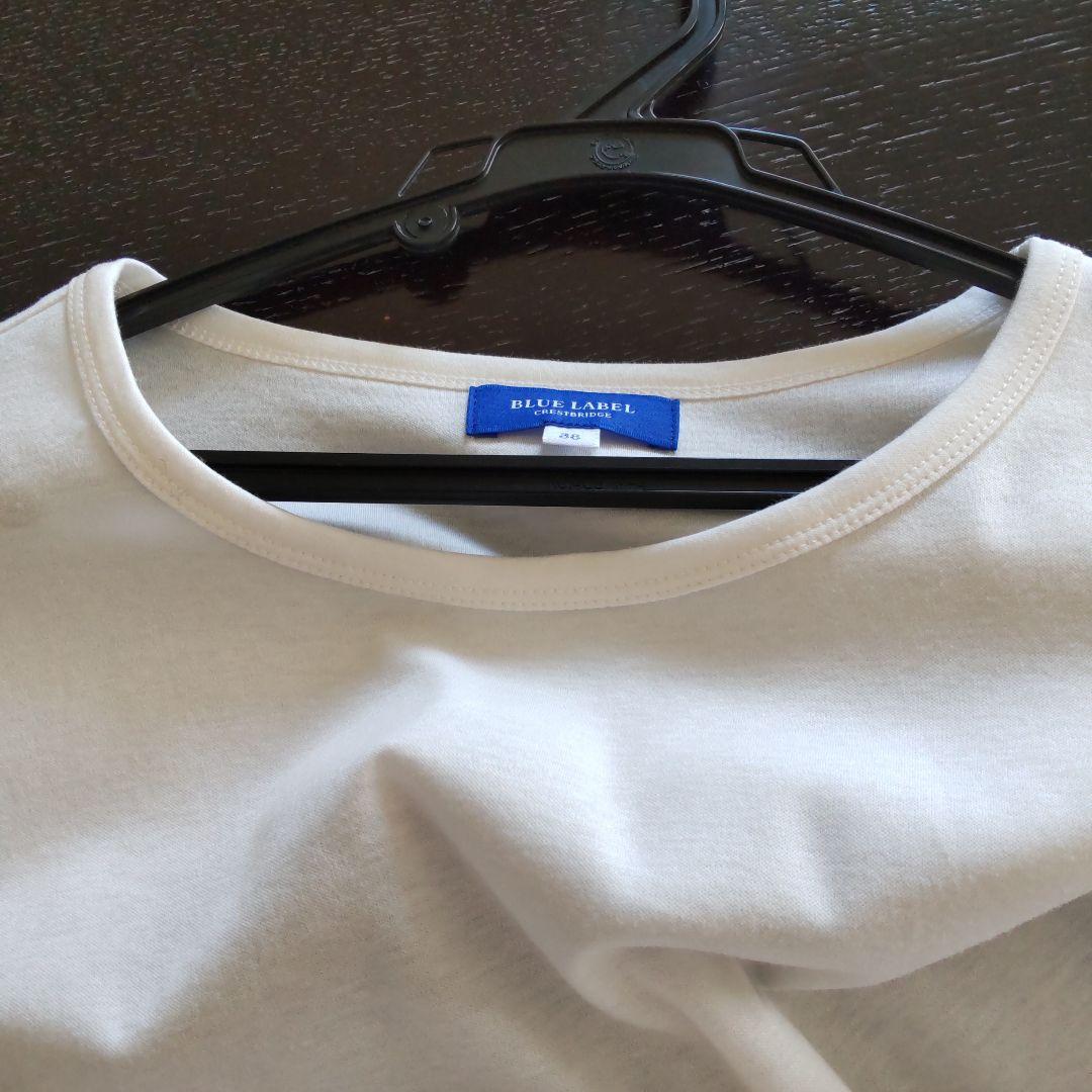 BLUE LABELクレストブリッジ シルケットバイオポンチカットソー