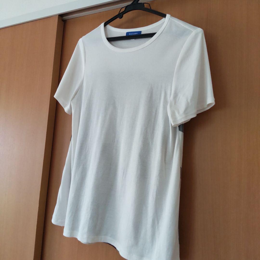 BLUE LABELクレストブリッジ シルケットバイオポンチカットソー