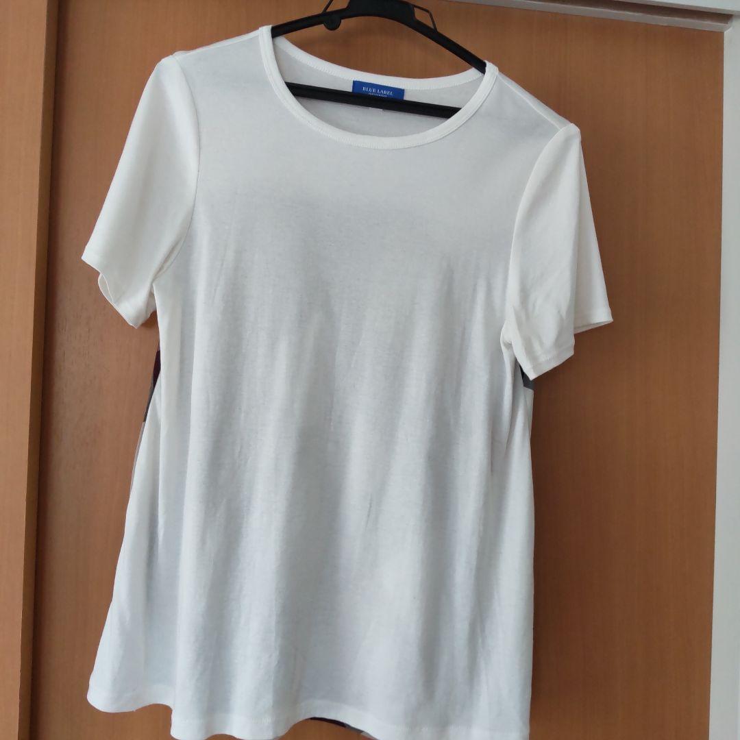 BLUE LABELクレストブリッジ シルケットバイオポンチカットソー
