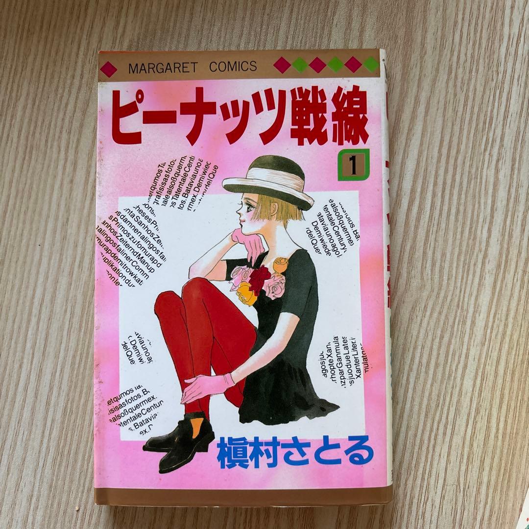 祝、芸術選奨文部科学大臣賞　槙村さとる 少女漫画43冊セット