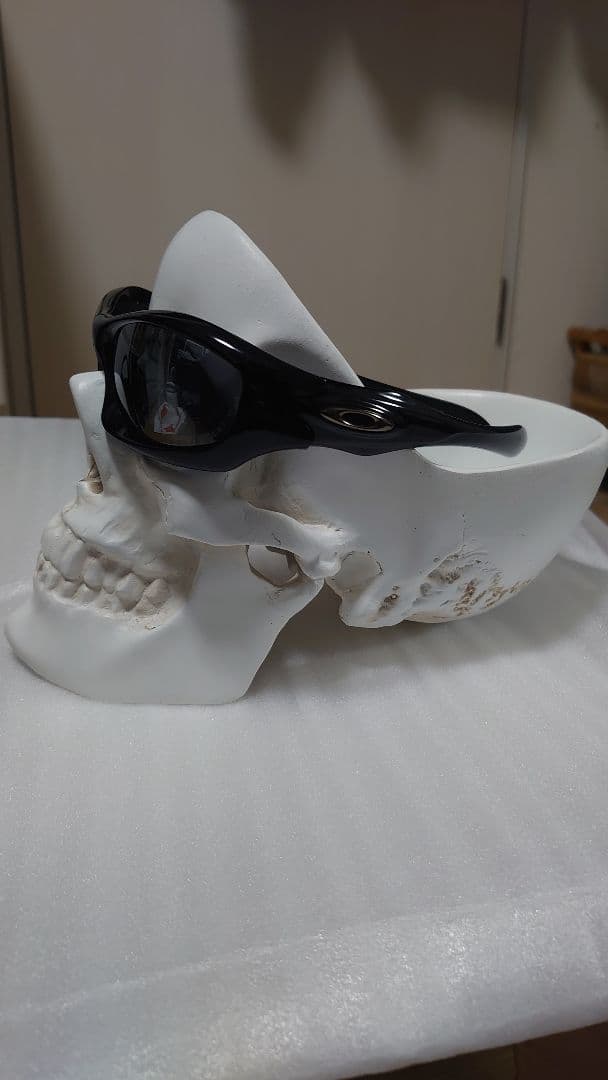 そ*様 OAKLEY monster dog モンスタードッグ