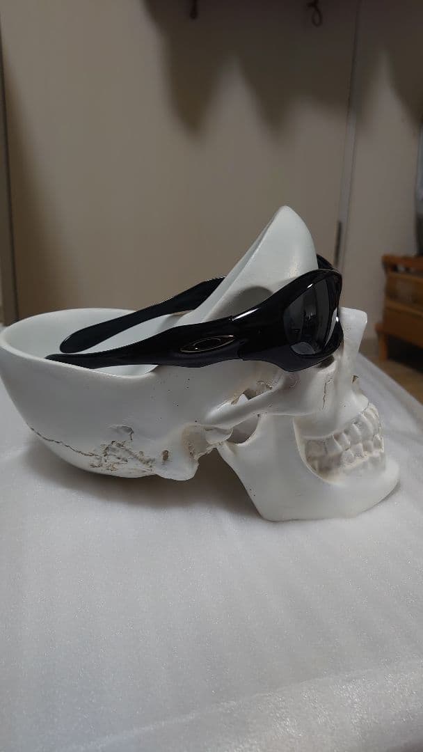 そ*様 OAKLEY monster dog モンスタードッグ