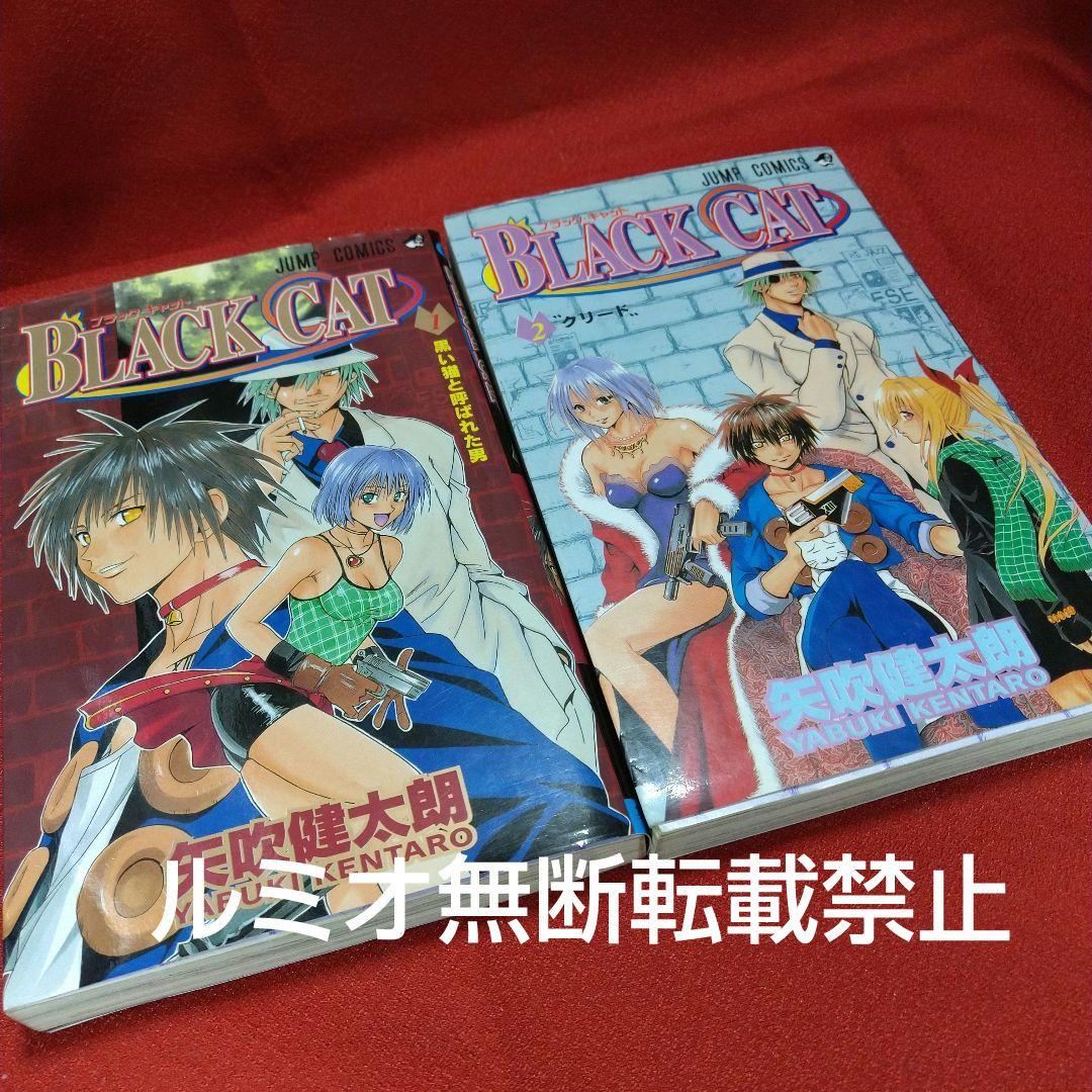 BLACK CAT(ブラック・キャット)【全巻セット】矢吹健太郎