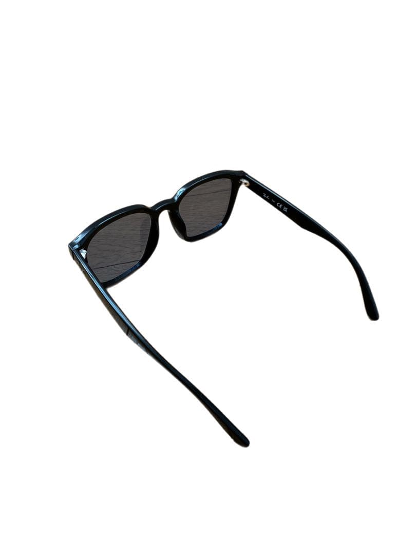 Ray-Ban レイバン RB4392D 601/80 美品 ケース付き