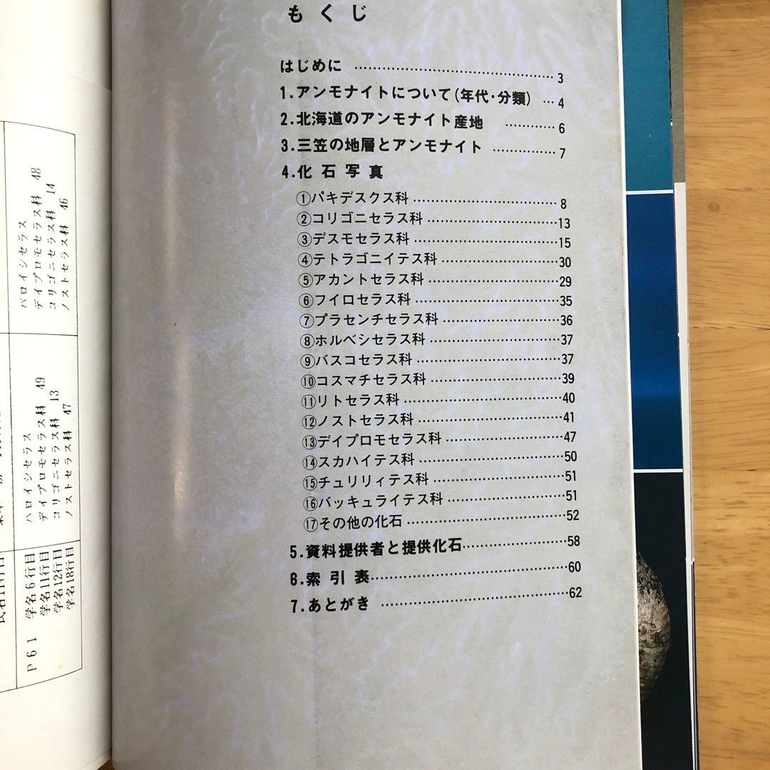 アンモナイト　化石写真集