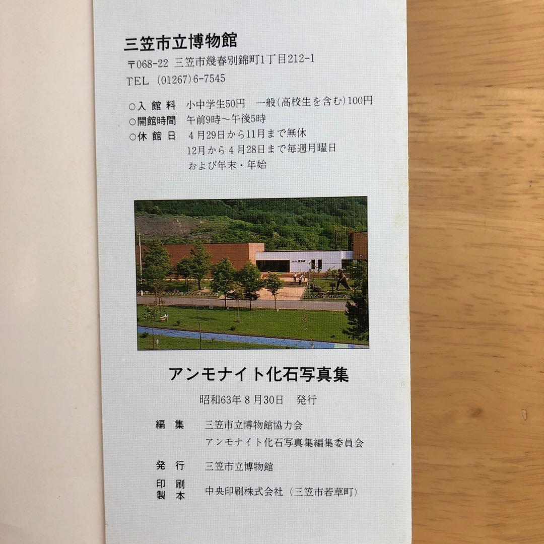 アンモナイト　化石写真集