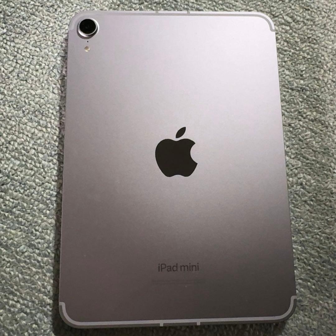 iPad mini第7世代 256GB とApple pencil pro