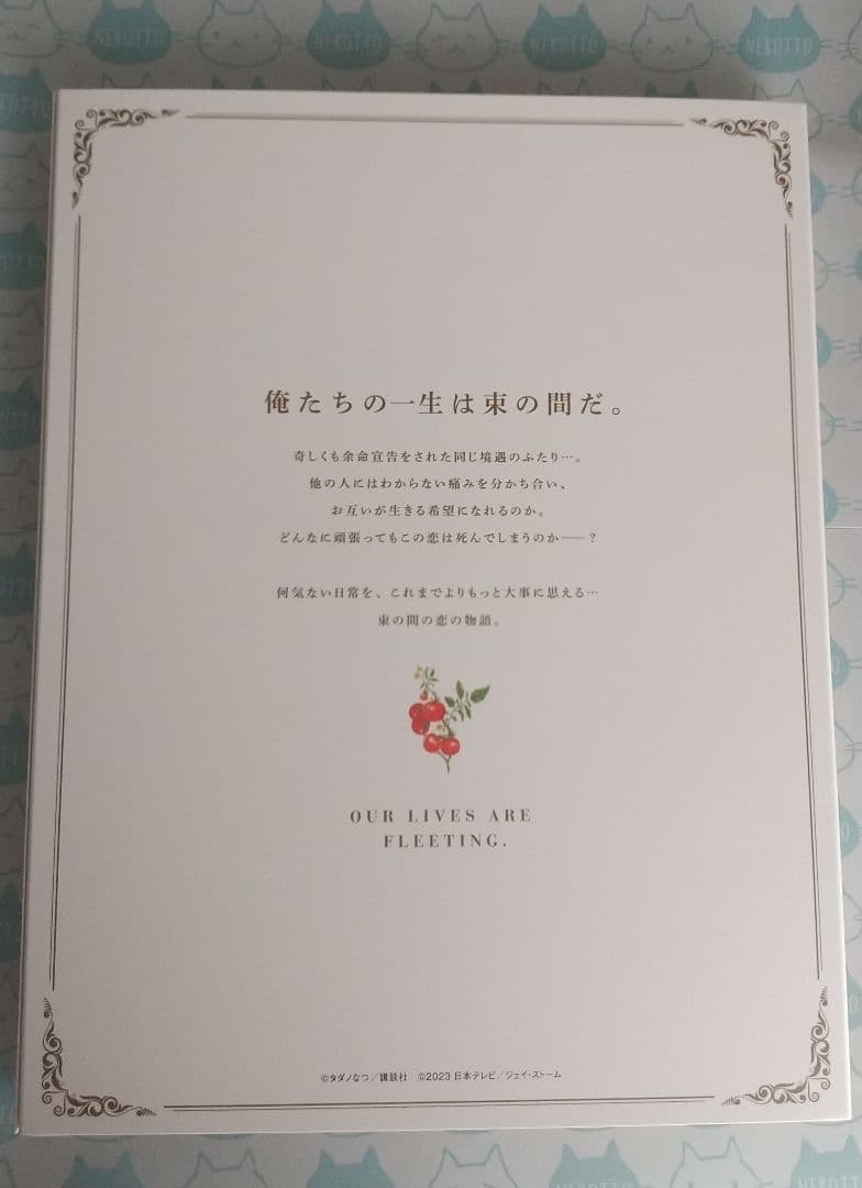 束の間の一花 DVD