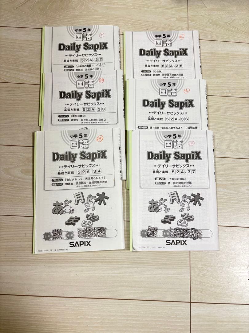 Sapix 五年　国語　フルセット