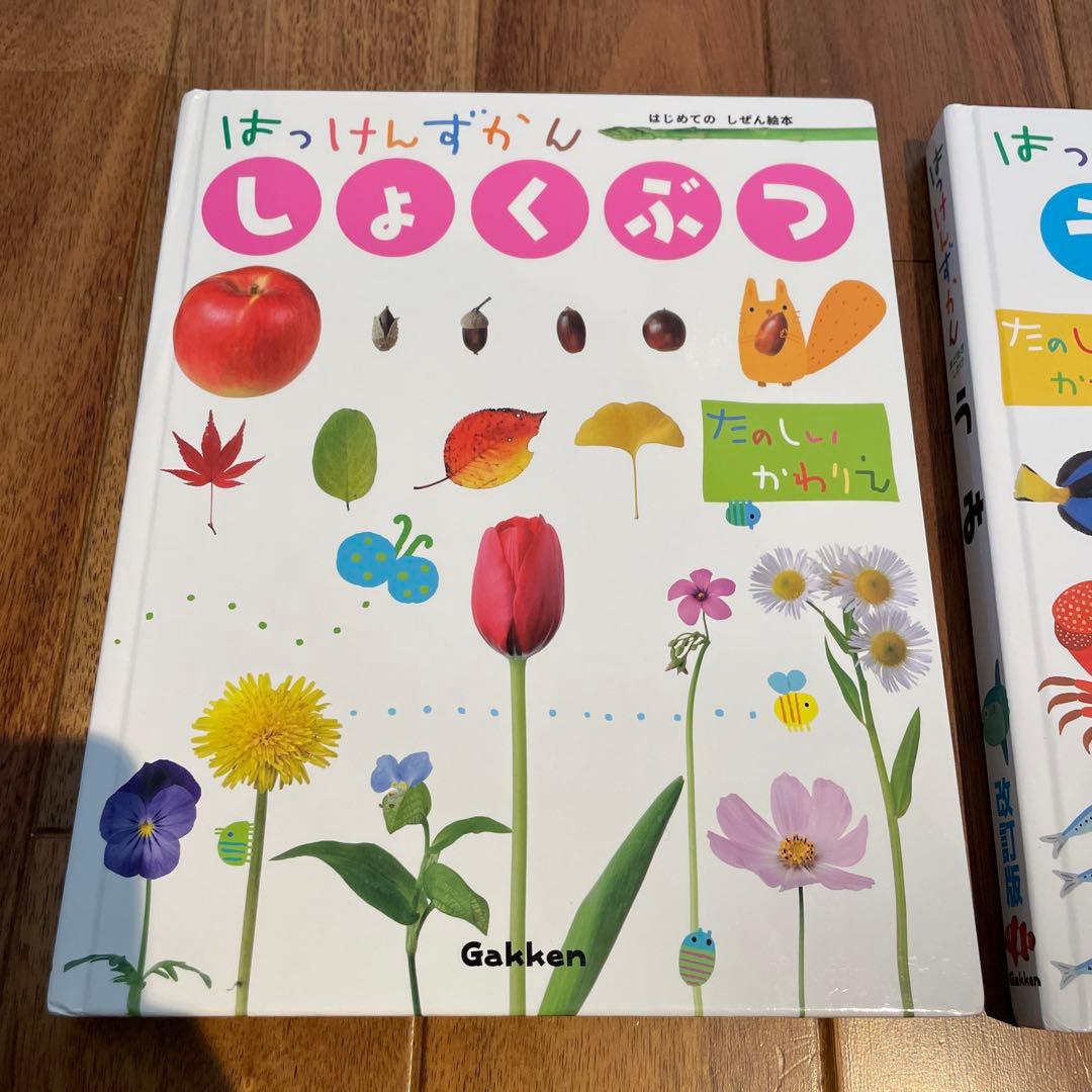 【美品】はっけんずかん　7冊セット