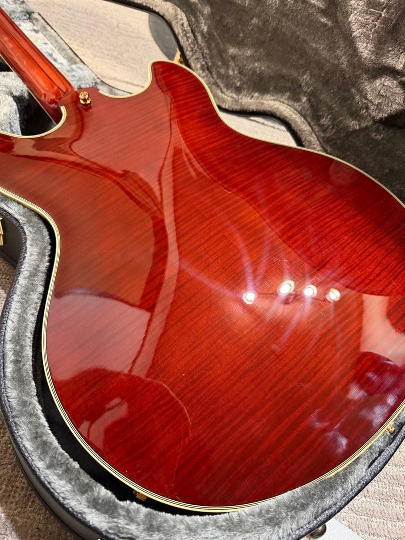 最終値下げ【美品】D'Angelico Excel DC バリ虎