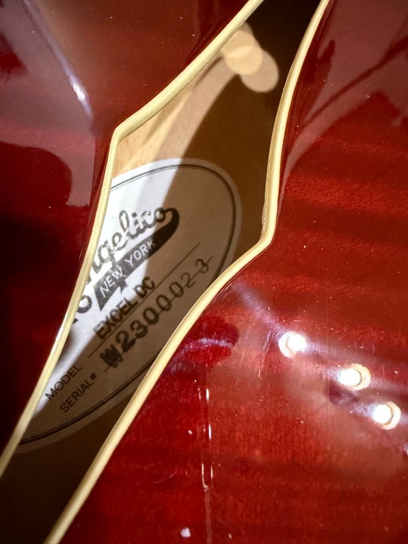 最終値下げ【美品】D'Angelico Excel DC バリ虎
