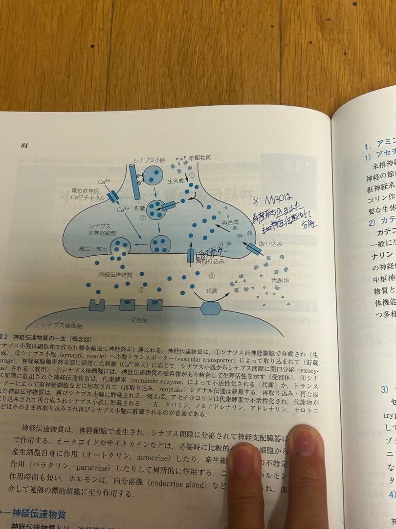 現代歯科薬理学 第7版