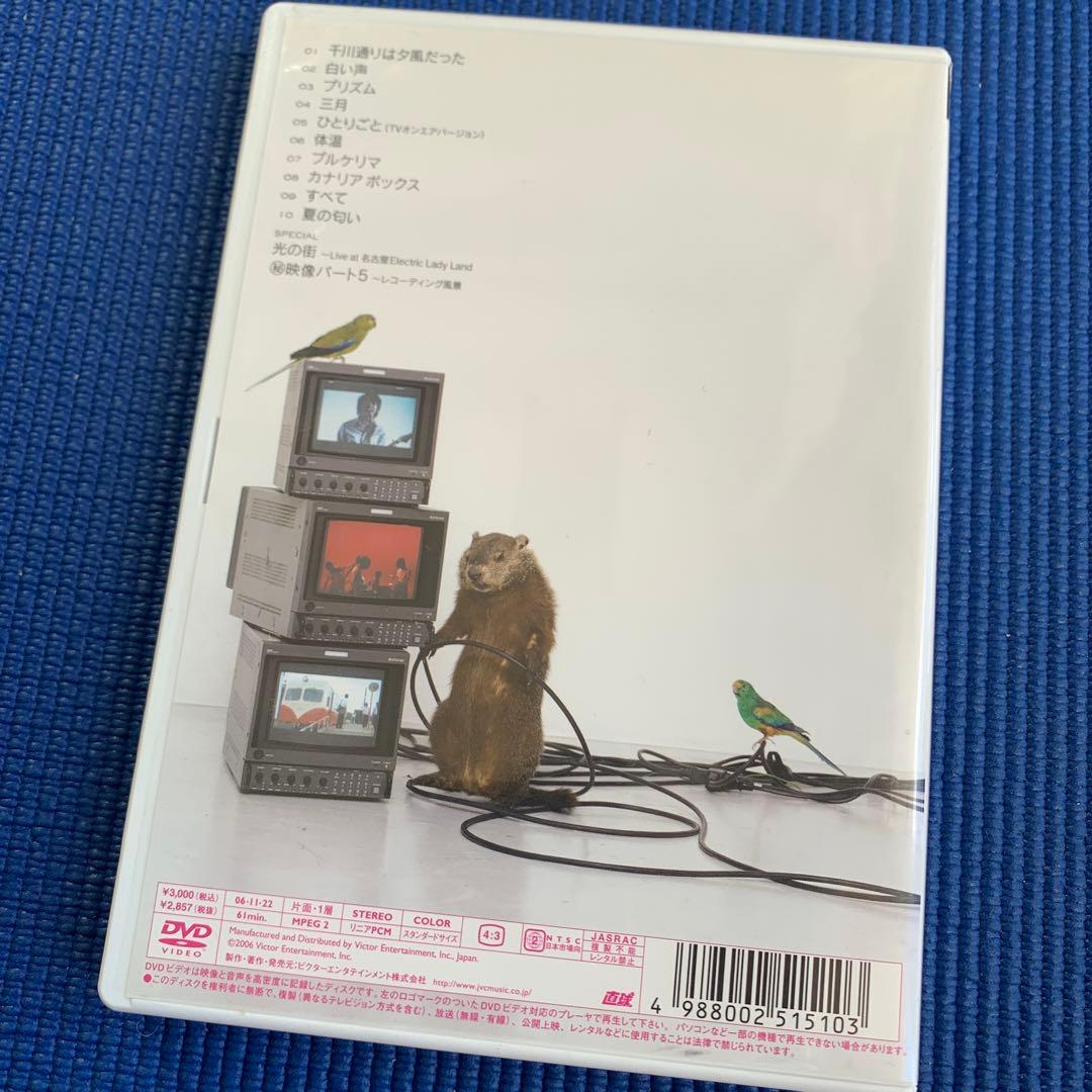 【直筆サイン入り】LUNKHEAD ＤＶＤ　セット