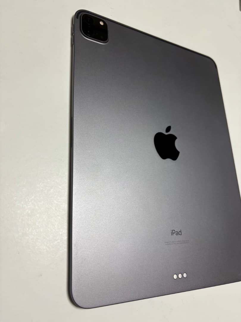 iPad Pro (11インチ)(第2世代) グレー　本体のみ