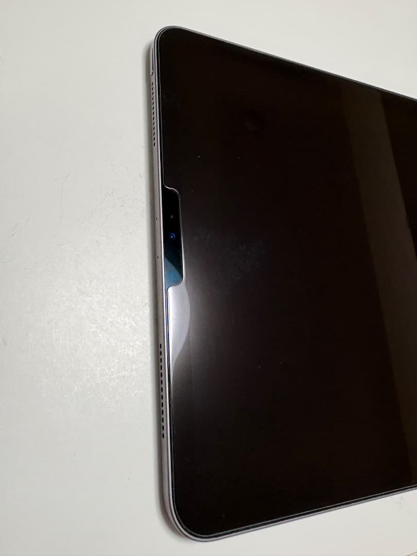 iPad Pro (11インチ)(第2世代) グレー　本体のみ