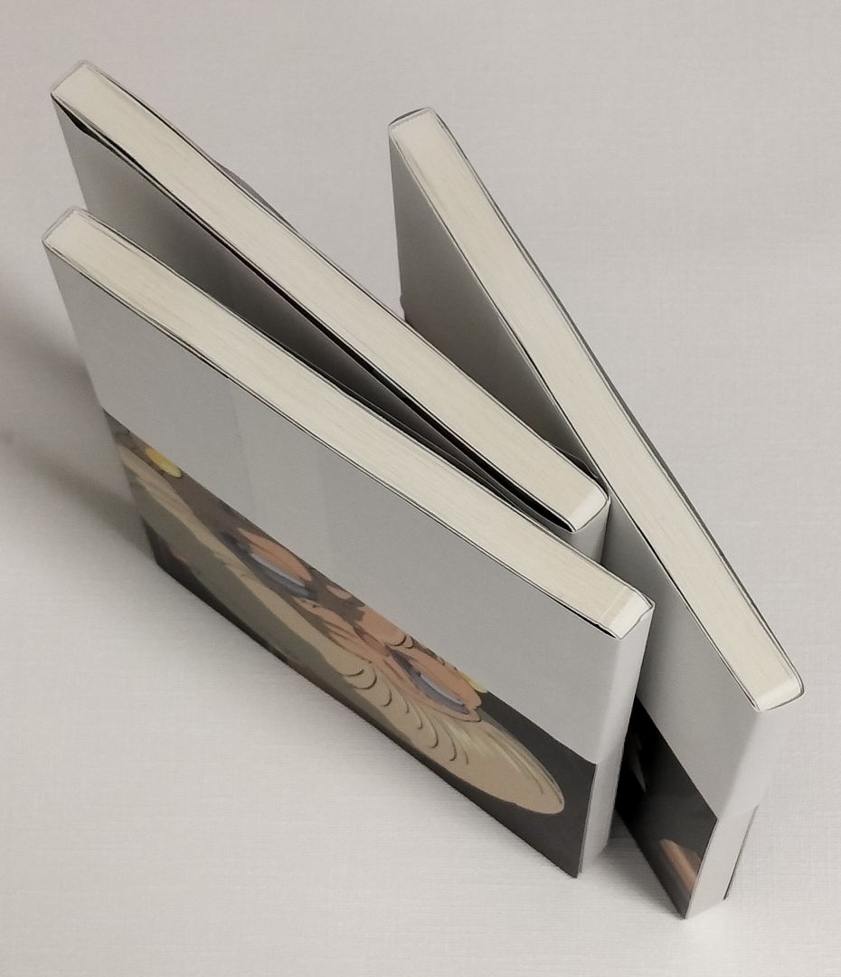 LOEWE × 千と千尋の神隠し　コラボ　ロエベノート　3冊セット
