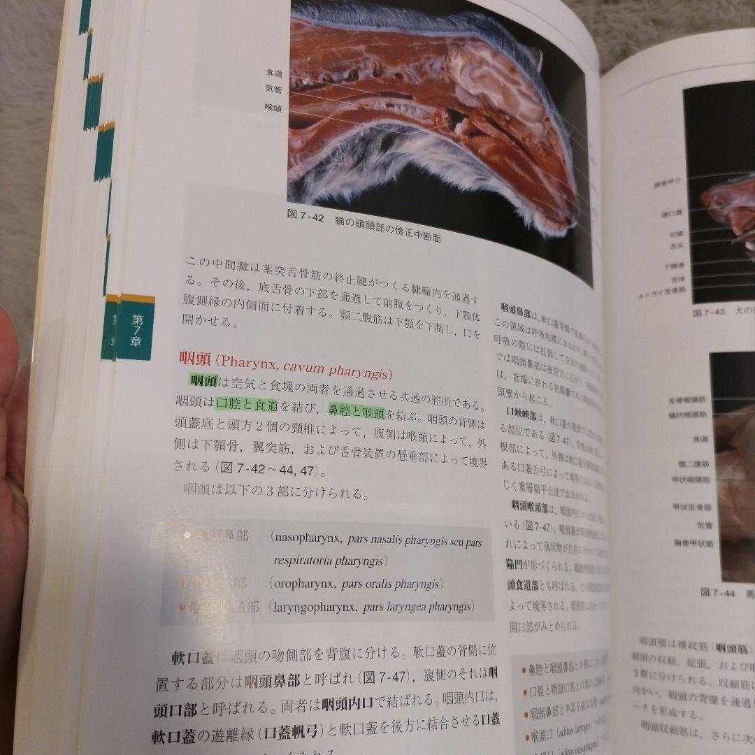カラーアトラス獣医解剖学（増補改訂第2版） 上下巻セット