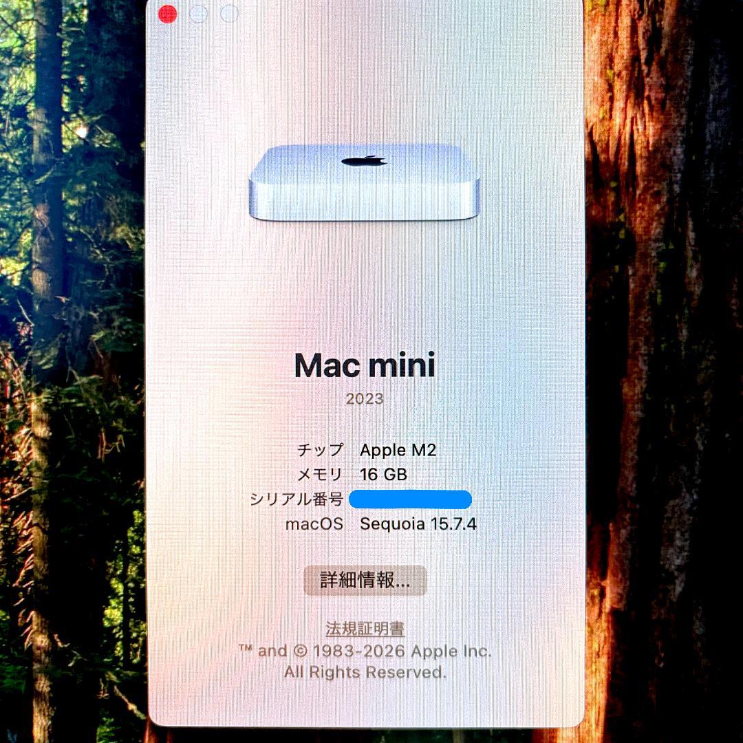 Mac mini M2・16GB・256GB・箱あり美品✨2024年10月購入