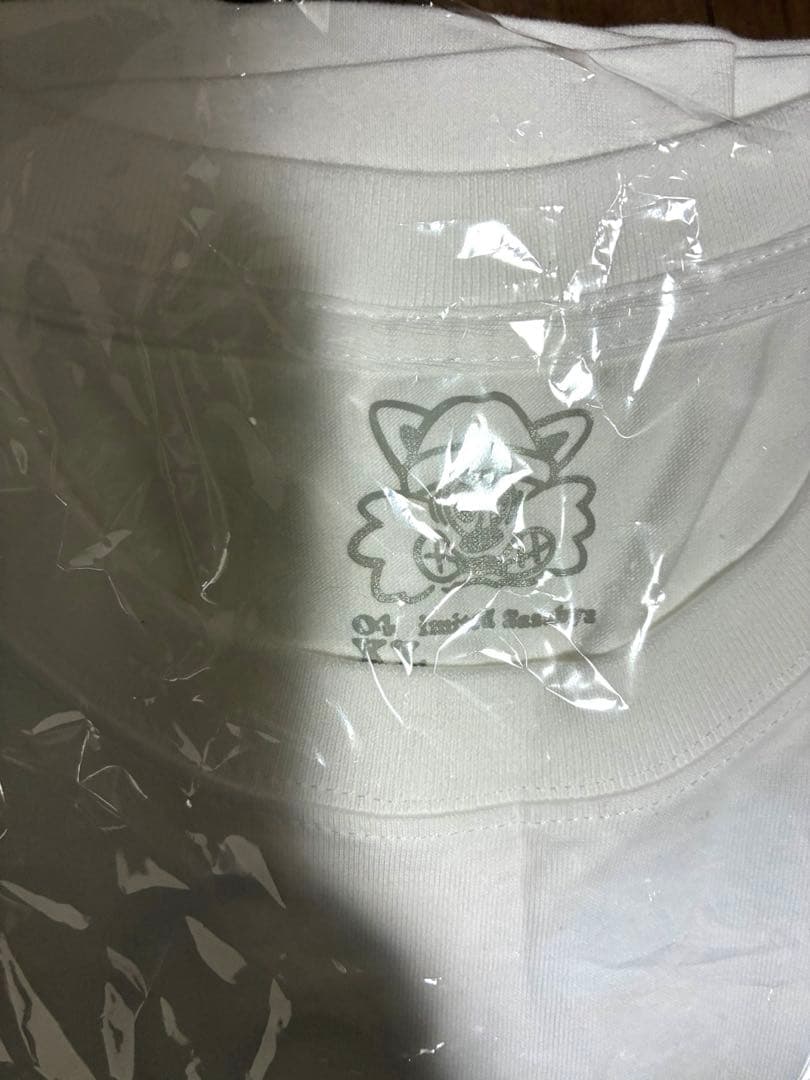 フォーリミ　04 Limited Sazabys　VERDY YONEXPO