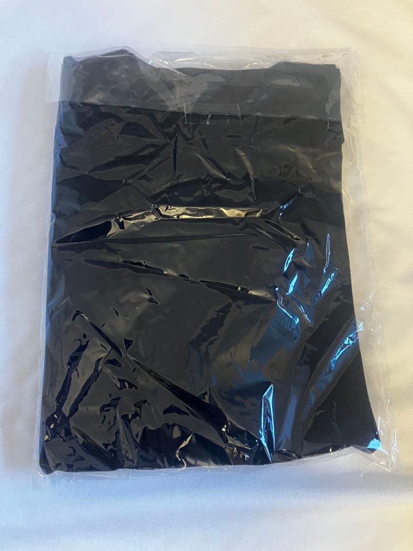 MONGOL800 ELLEGARDEN 限定売切れTシャツXL エルレガーデン
