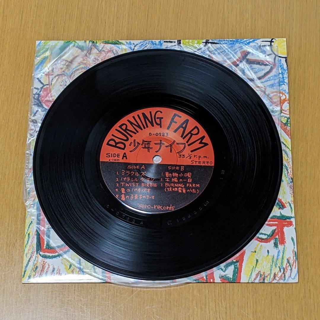 少年ナイフ - BURNING FARM 8インチレコード