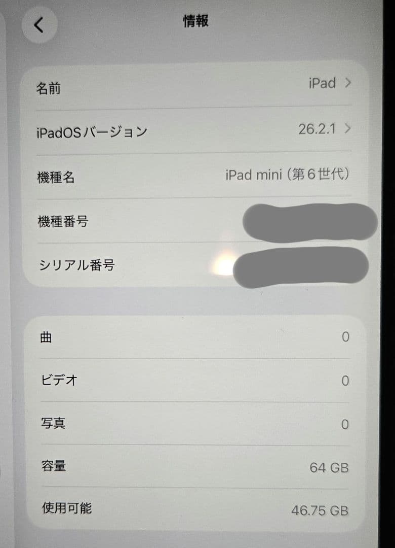 Apple iPad mini (第6世代) 64GB グレー
