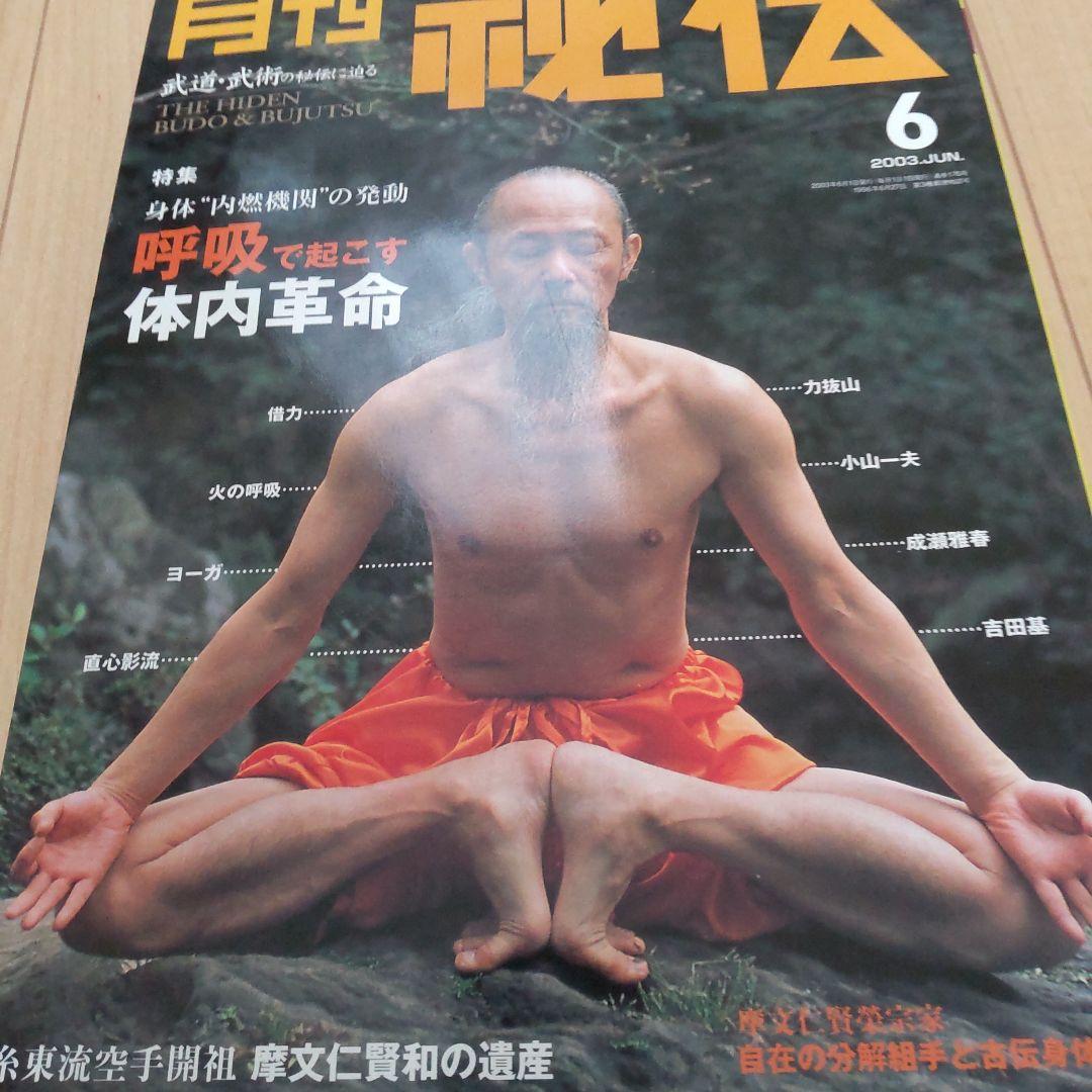 月刊 秘伝 2003 1～8、10～12 計11冊