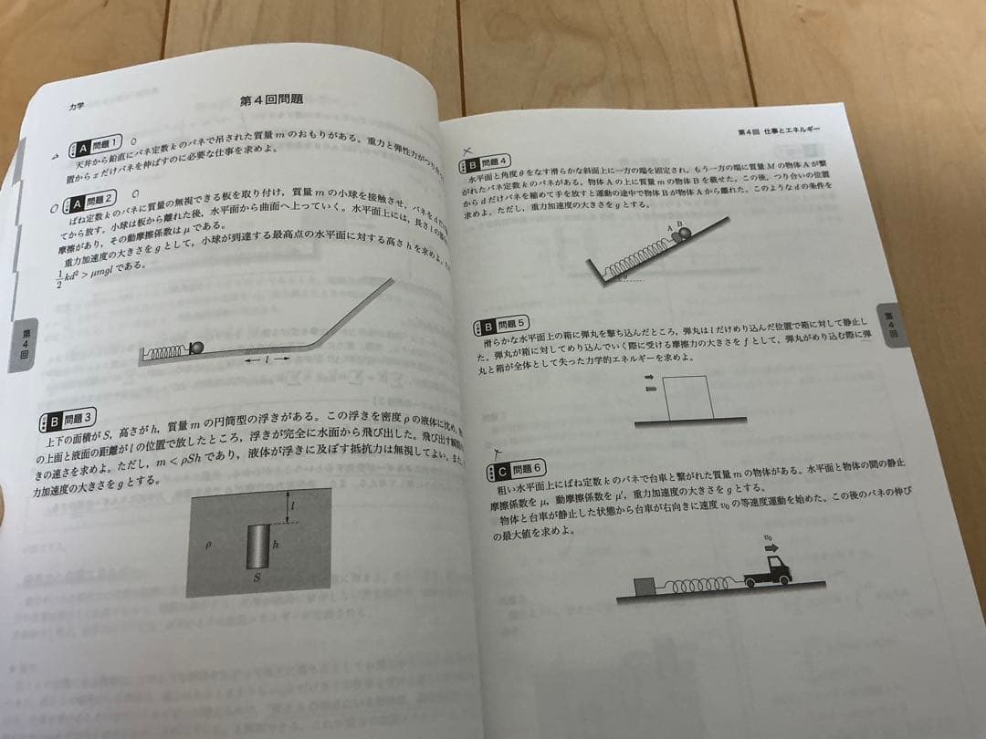 鉄緑会　物理　高3 確認シリーズ