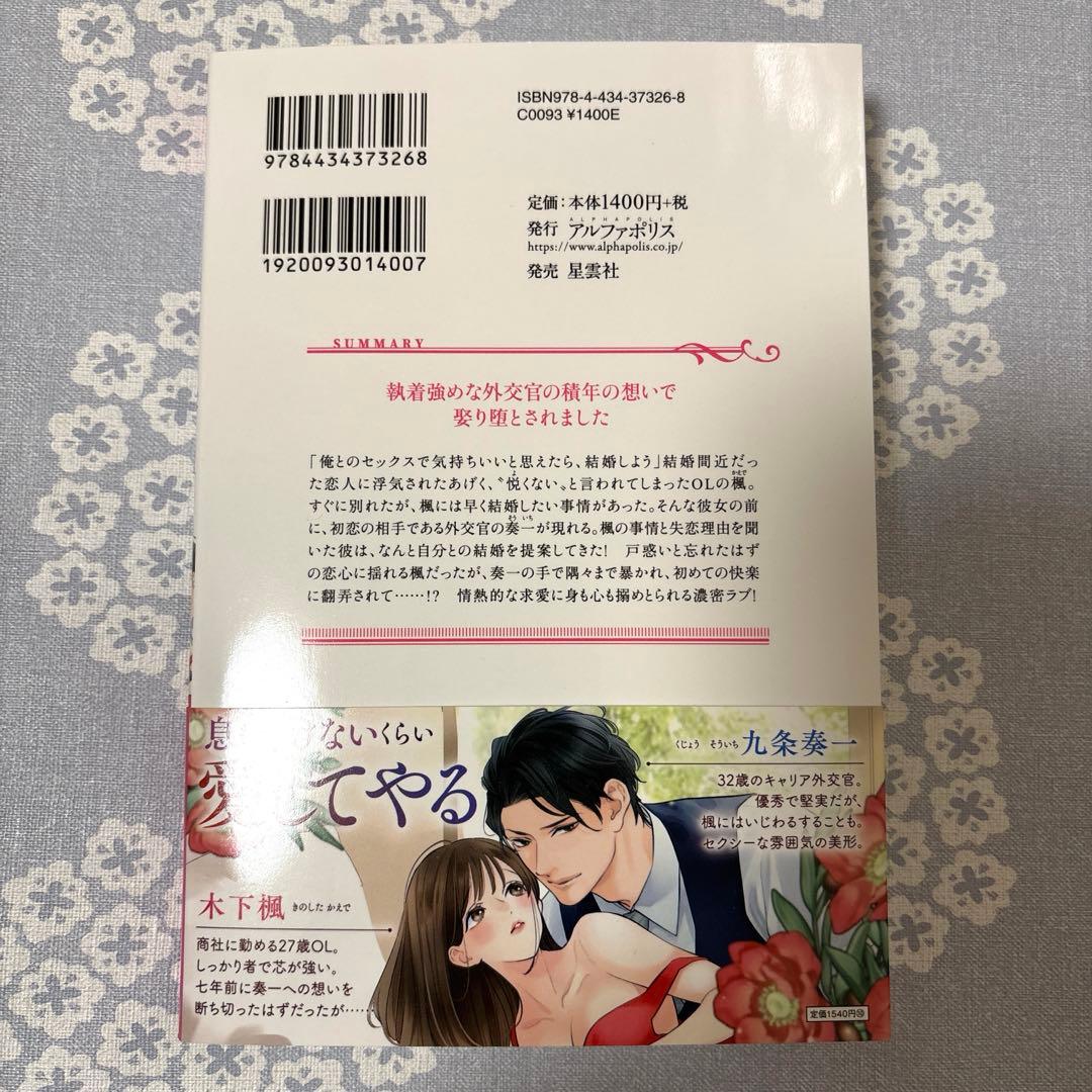 【専用】エタニティブックス・ルネッタブックス・ヴァニラ文庫・蜜猫文庫　2月新刊