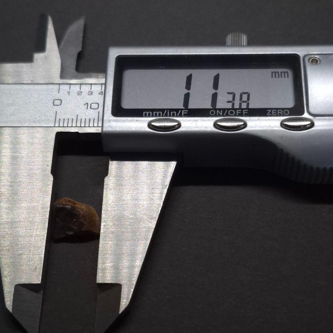 トリケラトプス 歯 化石 本物 11.38mm アメリカ産 tc4