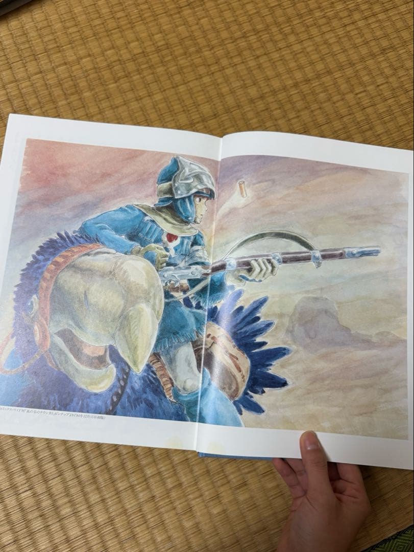 【豪華版】風の谷のナウシカ 上下巻2冊セット