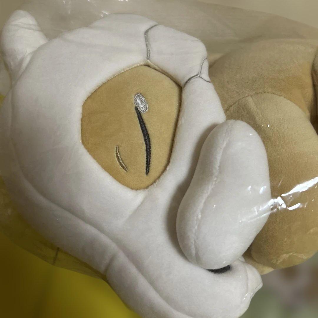 ポケモンスリープ　もっちりぬいぐるみ　おやすみカラカラ　新品未開封