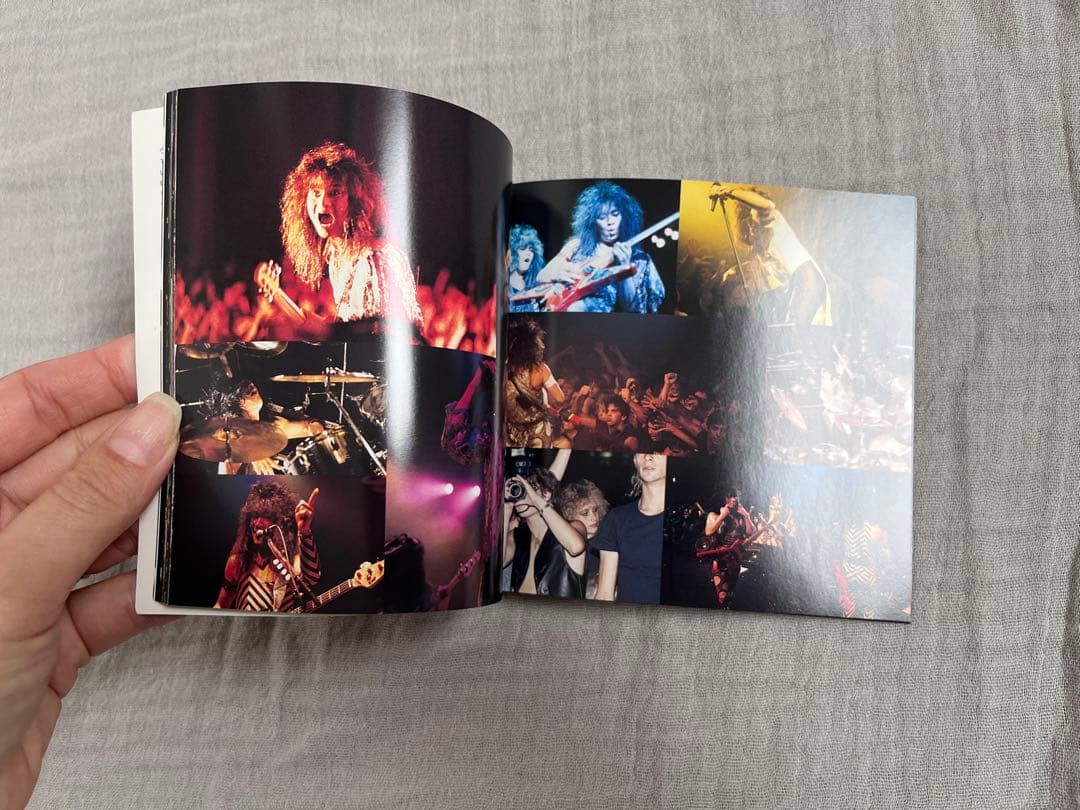 邦楽 LOUDNESS LIGHTNING STRIKES 30th