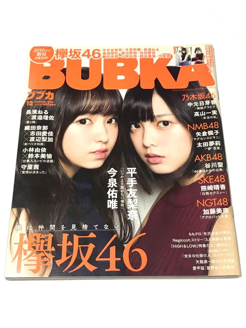 【美品】乃木坂46 欅坂46 日向坂46 雑誌8冊 クリアファイル ポスター