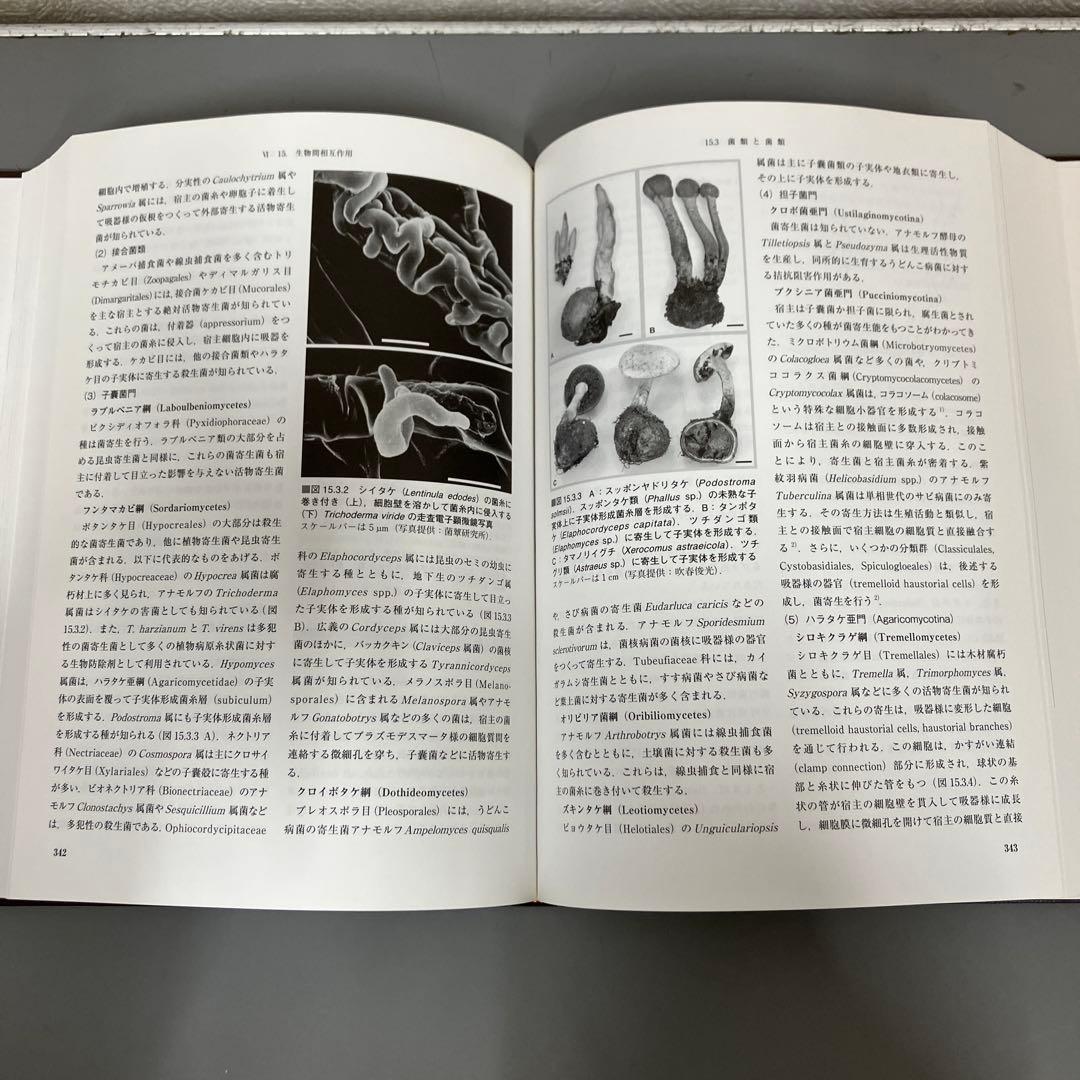 【中古本】菌類の事典