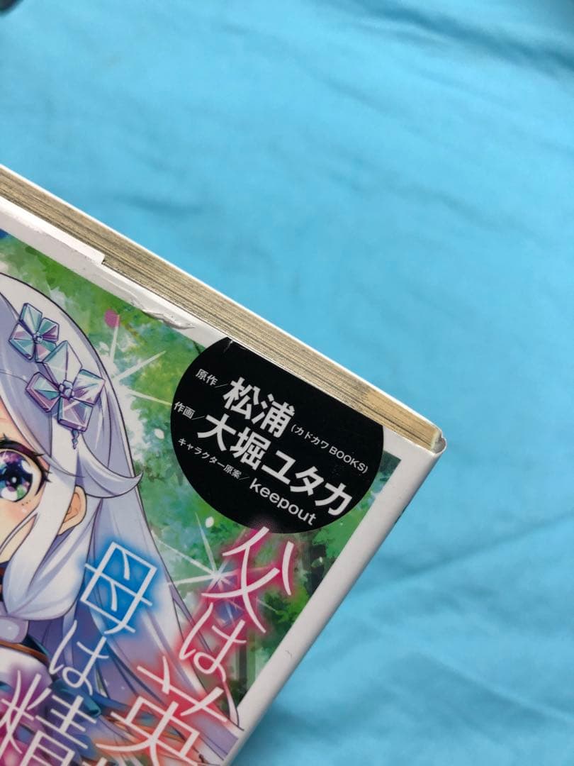 【10.11.13未開封】父は英雄、母は精霊、娘の私は転生者 1〜13
