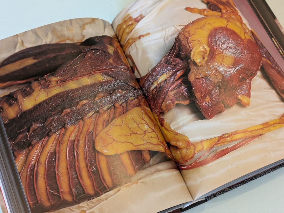 【新品】Anatomical Waxes / Taschen 解剖学 蝋人形