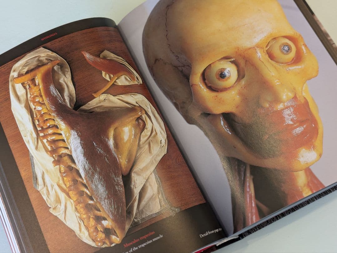 【新品】Anatomical Waxes / Taschen 解剖学 蝋人形