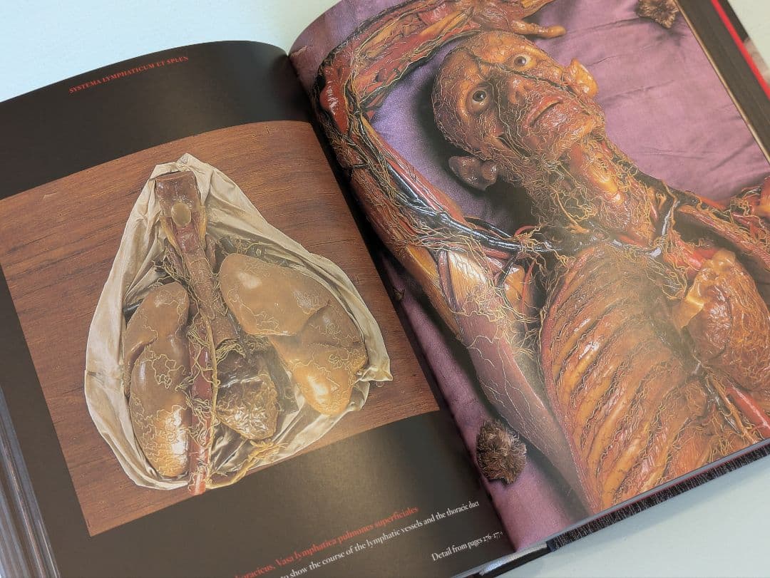 【新品】Anatomical Waxes / Taschen 解剖学 蝋人形