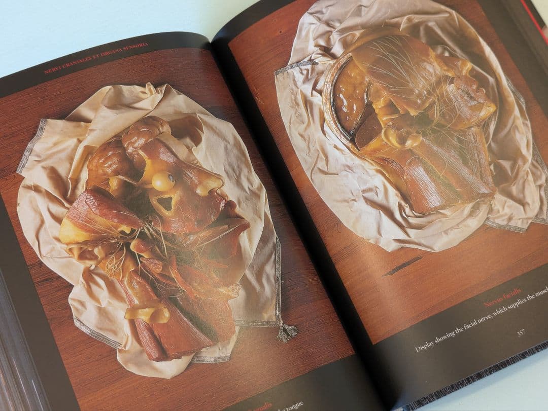 【新品】Anatomical Waxes / Taschen 解剖学 蝋人形