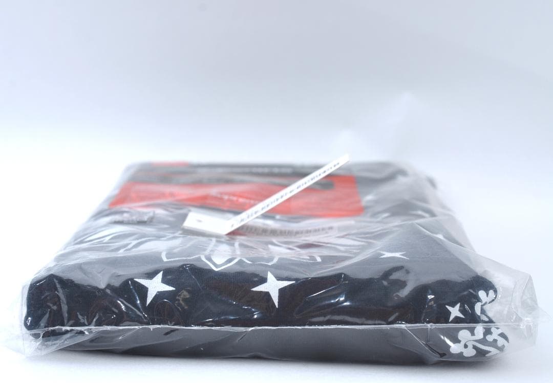Supreme x Hanes Bandana Tシャツ 2枚 黒 TA2583