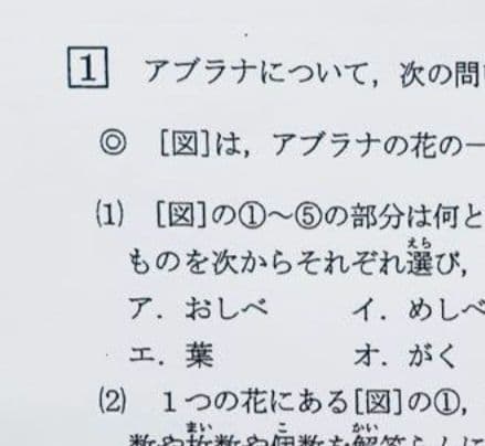 浜学園　最新版　2024年　小5　復習テスト　Vクラス　算国理　3科目
