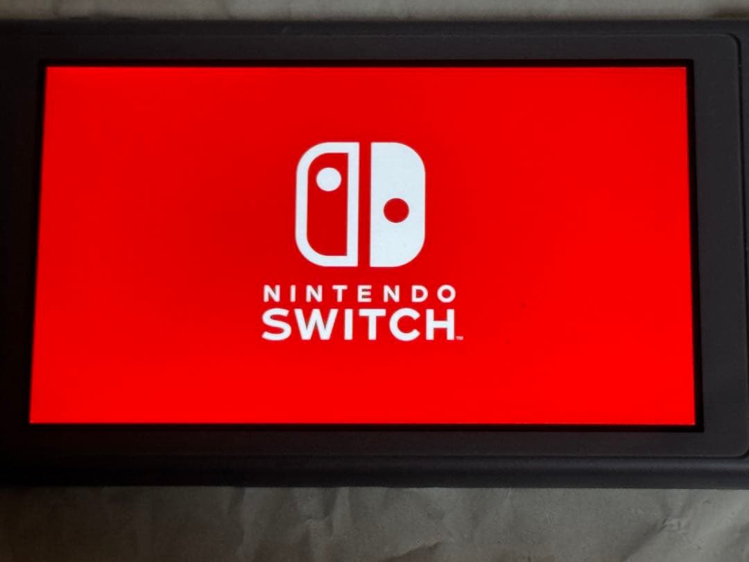 n*o様 Nintendo Switch Lite グレー ニンテンドースイッチ