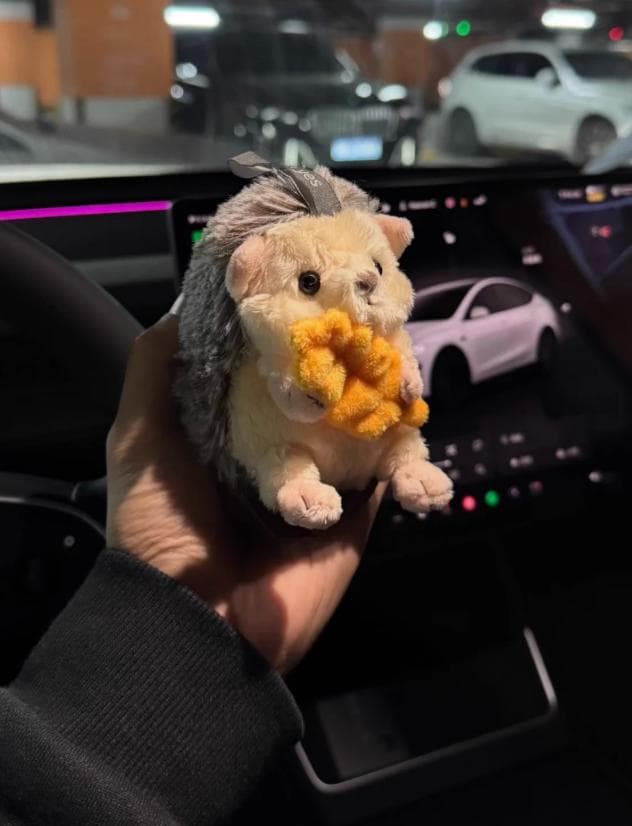 【TESLA ぬいぐるみチャーム 社員限定セット】（磁石付き）