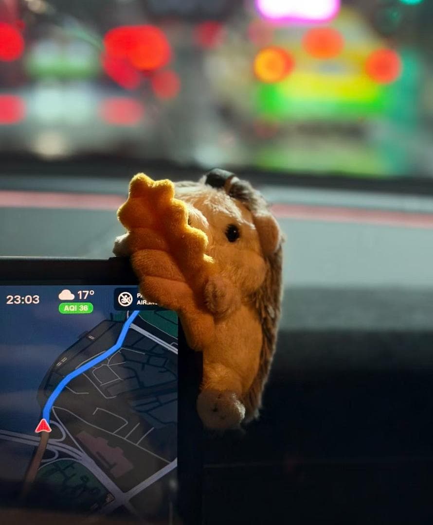【TESLA ぬいぐるみチャーム 社員限定セット】（磁石付き）