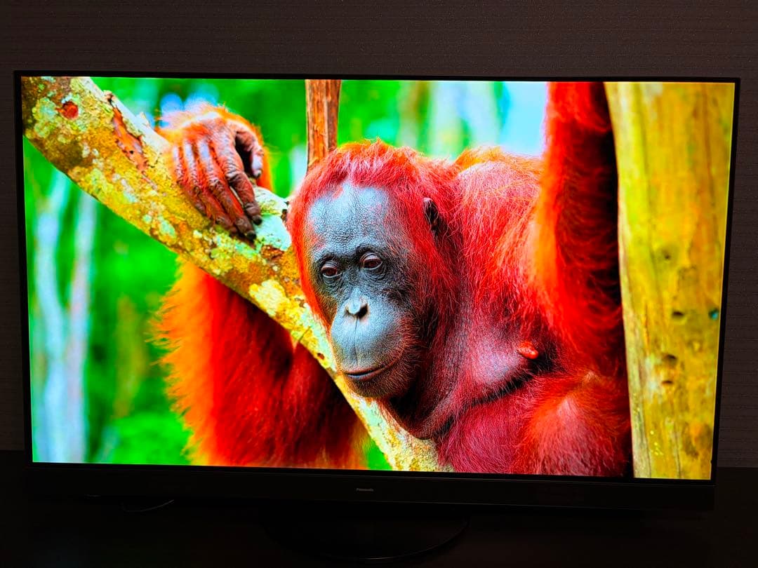 美品パナソニック 55型 有機ELテレビ 4K 55HZ1800 55インチ