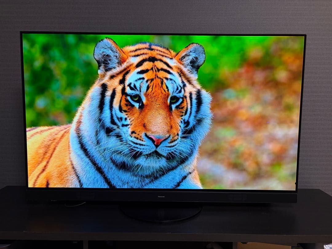 美品パナソニック 55型 有機ELテレビ 4K 55HZ1800 55インチ