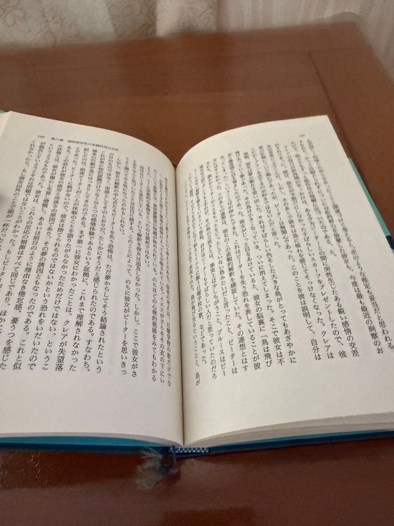 ⭐︎希少本⭐︎ 自己分析 K・ホーナイ著