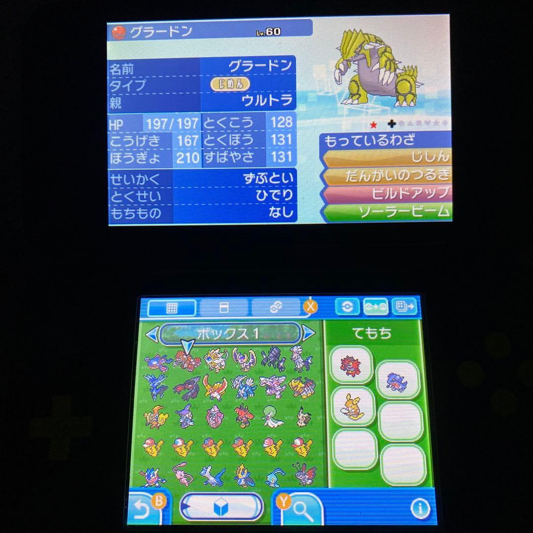 す*い様 配布ポケモン多数所持　ポケットモンスター ムーン
